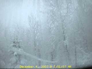 webcam image